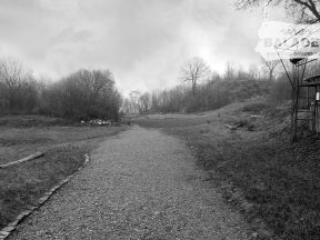 Photo n&b de la basse cour.