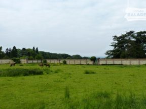 Écurie du château.