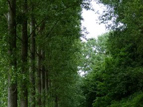 Rue derrière le château.