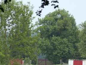 La cour du château.