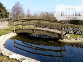 La mare aux grenouilles.