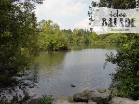 Le canal de St Quentin vu du parc d’isle.
