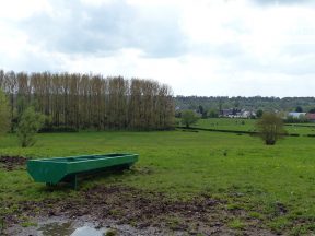 Champs et pâturages.