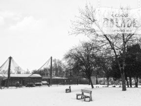 La volières d’oiseaux sauvages.