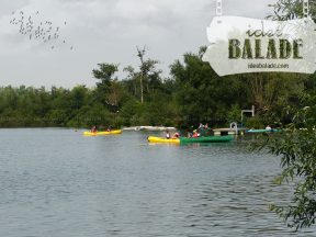 Les balades en barques.