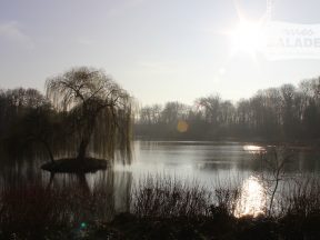 Vue sur l’étang depuis le café.