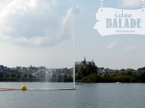 Balades en pédalos.