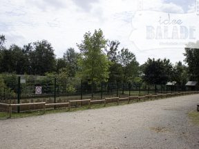 L'enclos à émeus et wallabys.