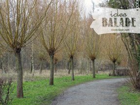 La réserve naturelle.