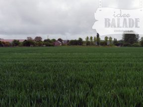 Un des champ de Nouvion.