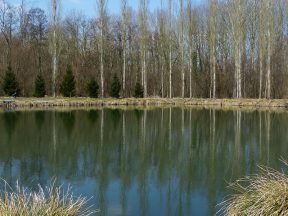 Etang de Grugies.