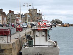 Le joli port.
