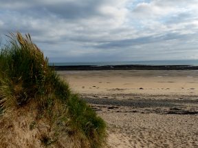Plage de Portbail.