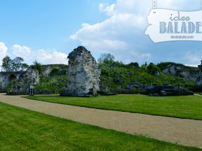 Emplacement et ruine du donjon.