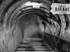Les caves.