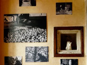 Les photos de Stéphane La Roque.