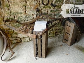 La sangle à cheval.