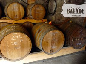 Tonneaux de fermentation.