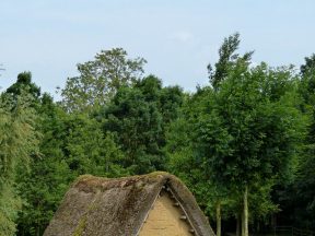 Cabane semi-enterrée.