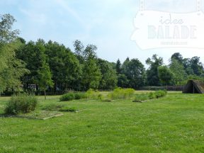 Le jardin archéologique.