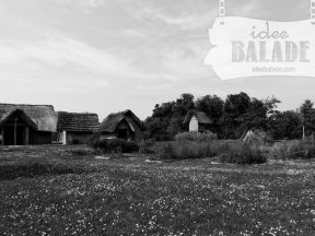 Jardin archéologique.