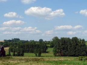 Le bocage.