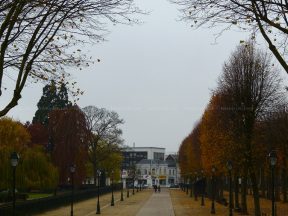 Allée coté C.P.A.M.