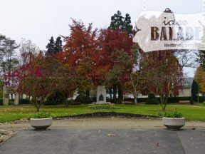 Jardin des Champs-Élysées.
