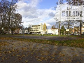 Le terrain de basket.