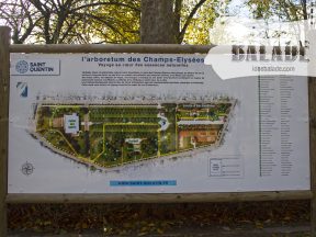 Les Champs-Élysées.