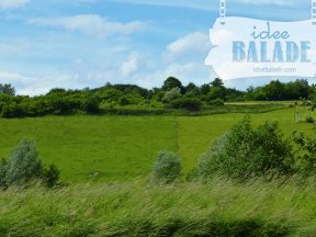 La falaise de Tupigny.