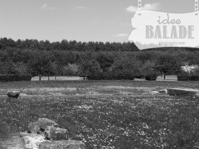 L’église St-Martin.