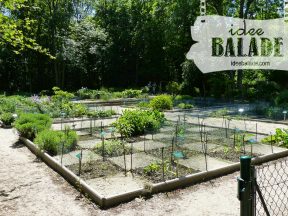 Le jardin en damier.