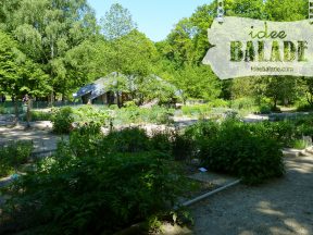 Autre vue du jardin.