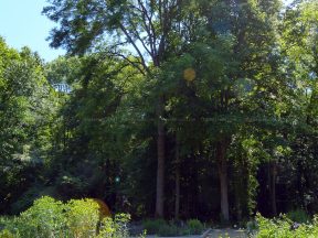 Autre vue sur les massifs.