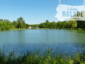 Étang de l'abbaye.
