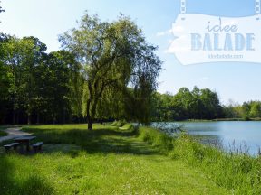 L'étang de l'abbaye.