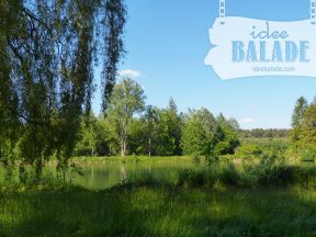 L'étang l'abbaye de Vauclair.