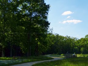 Détail de l'étang de Vauclair.