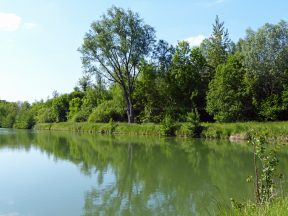 Détail de l'étang de l'abbaye.